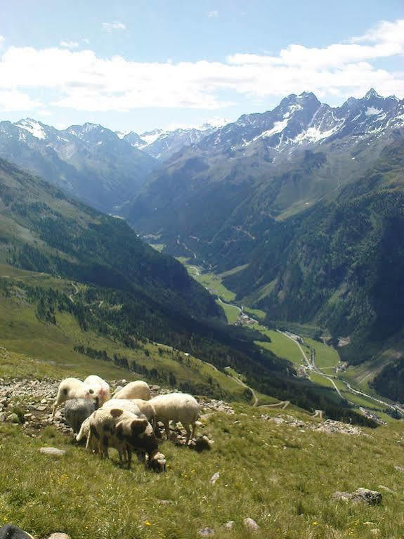 Ferienwohnung Bergspitz Sankt Leonhard im Pitztal Dış mekan fotoğraf